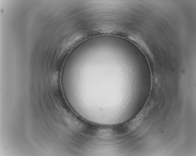 X0000087360066200705041905