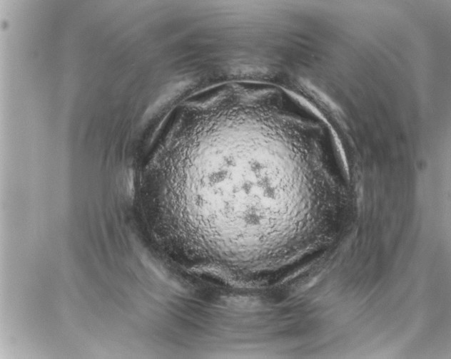 X0000087360067200705041905