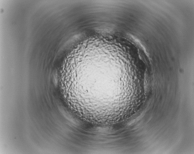 X0000087360069200705041905