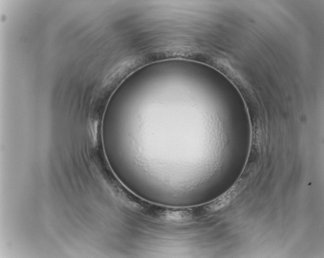 X0000087360070200705041905