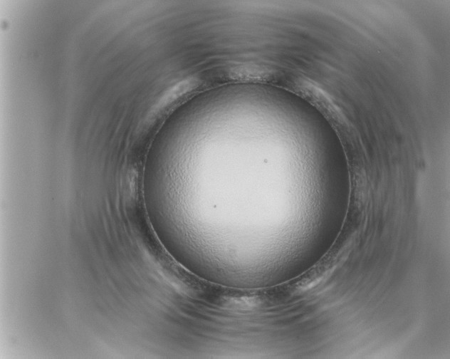 X0000087360071200705041906