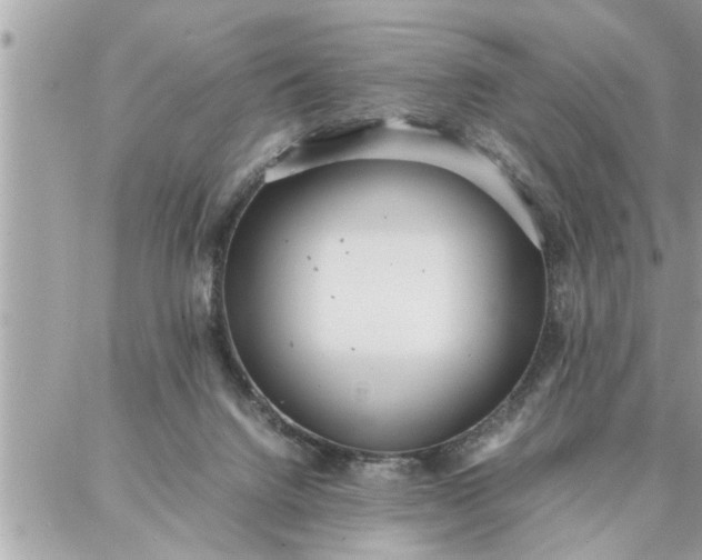 X0000087360072200705041906