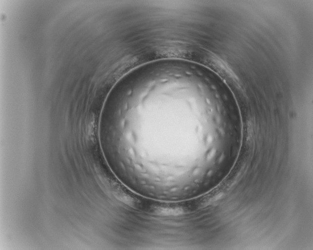 X0000087360073200705041906