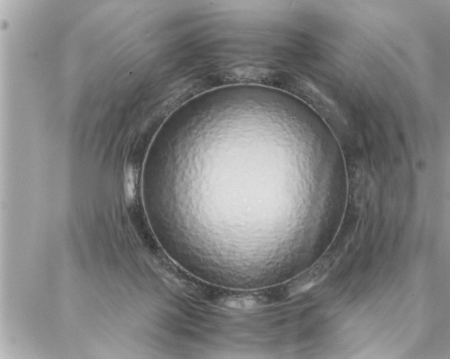 X0000087360075200705041906