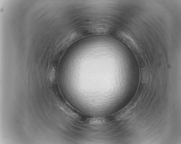 X0000087360077200705041906