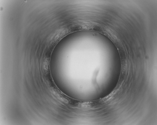 X0000087360078200705041906