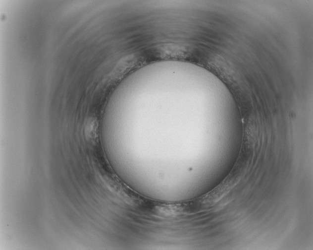 X0000087360079200705041906