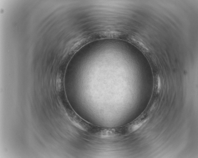 X0000087360080200705041906