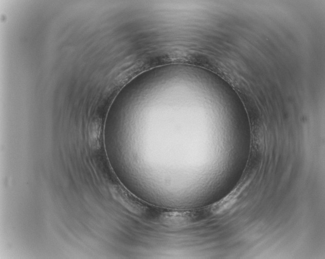 X0000087360082200705041906