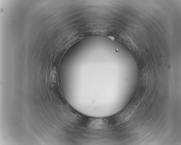 X0000087360083200705041906