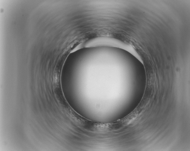 X0000087360084200705041906