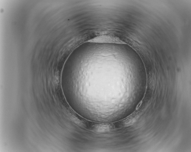 X0000087360085200705041906