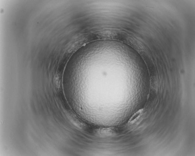 X0000087360086200705041906