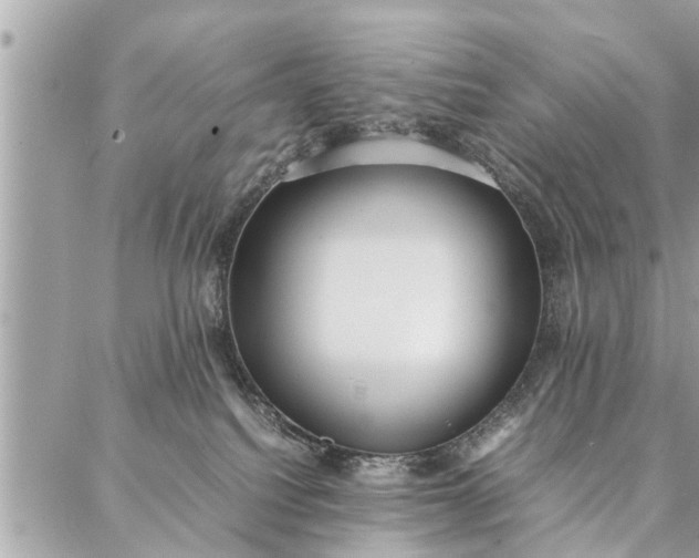 X0000087360088200705041906