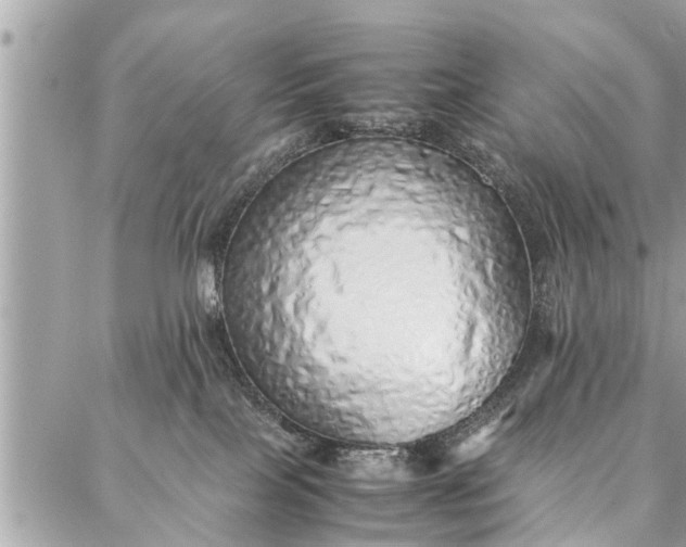 X0000087360089200705041906