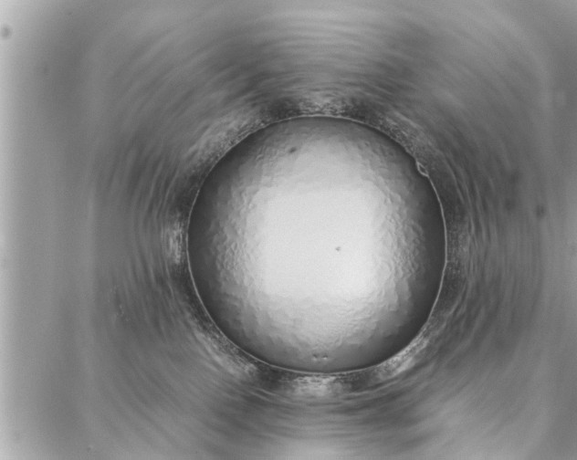 X0000087360090200705041906