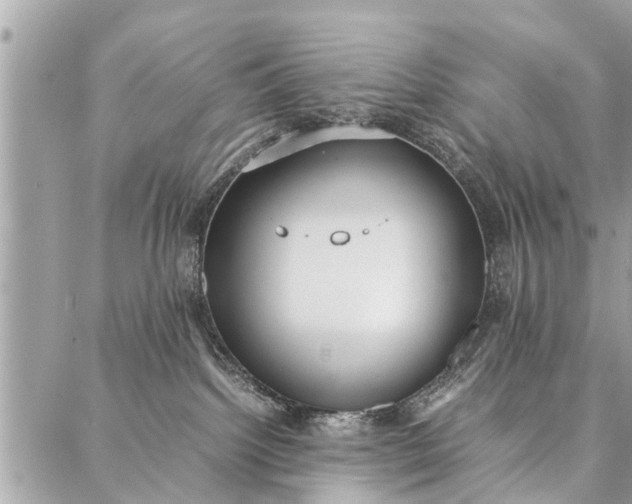 X0000087360092200705041906