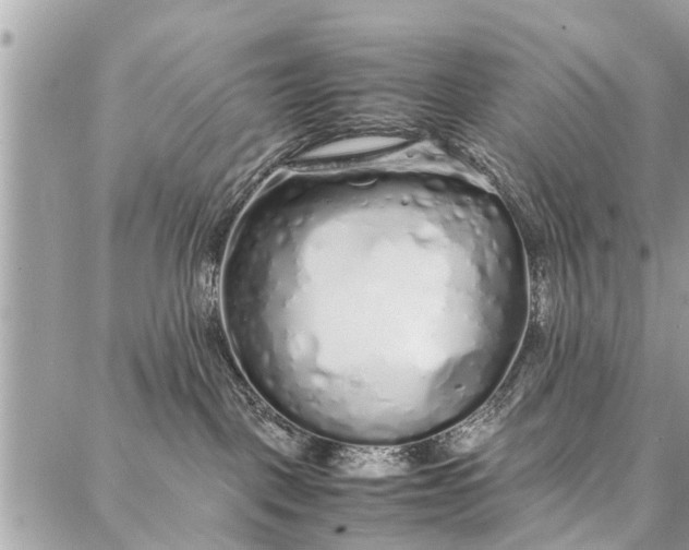 X0000087360093200705041906