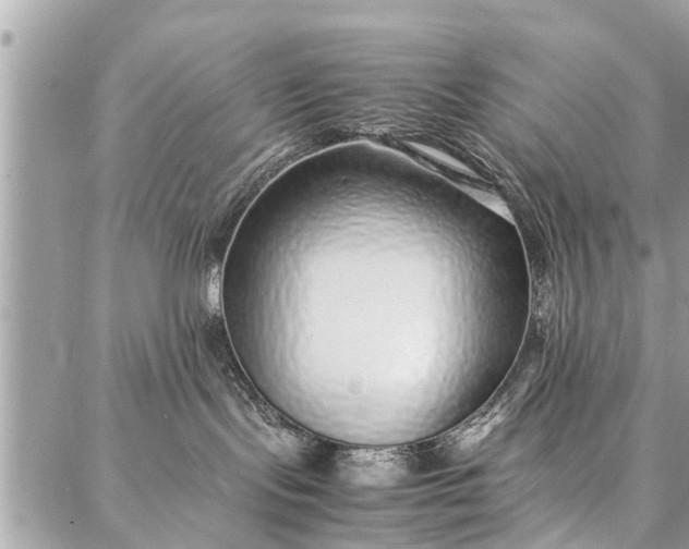 X0000087360095200705041906