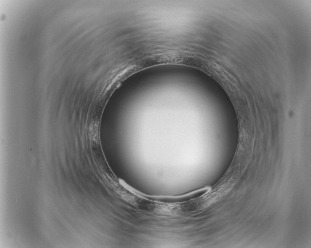 X0000087360096200705041906