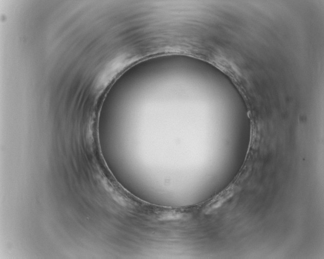 X0000087360098200705041905