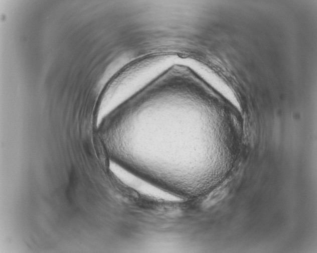 X0000087360099200705041905