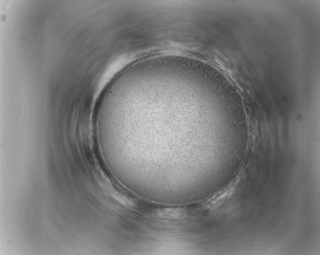 X0000087360102200705041905