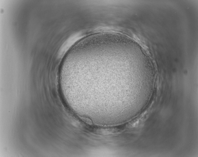 X0000087360103200705041905