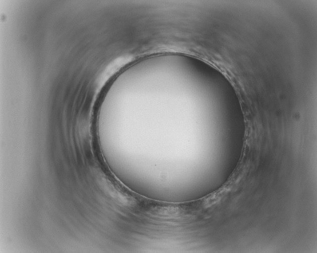 X0000087360104200705041905