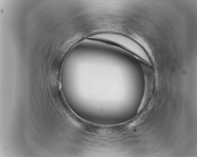 X0000087360105200705041905