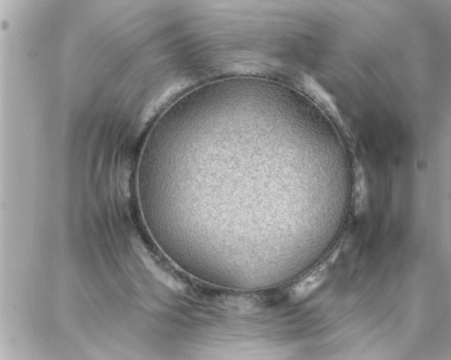 X0000087360106200705041905