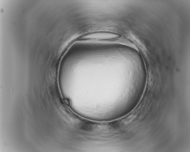 X0000087360107200705041905