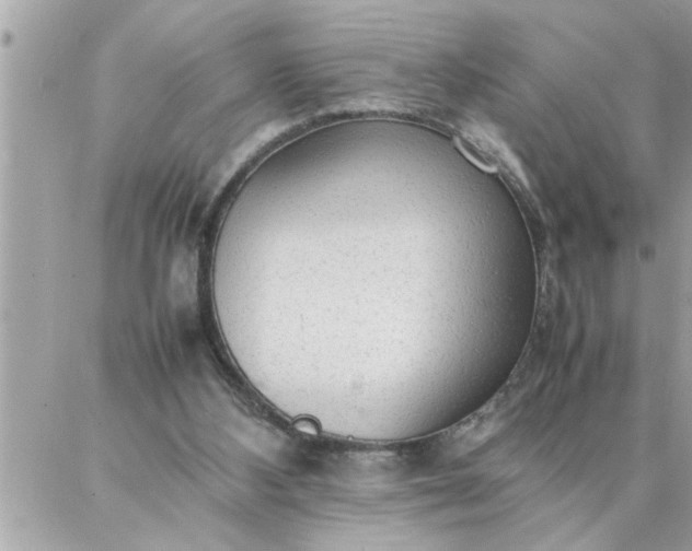 X0000087360108200705041905