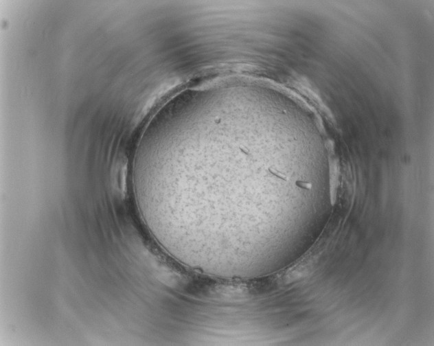 X0000087360110200705041905