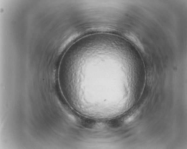 X0000087360111200705041905