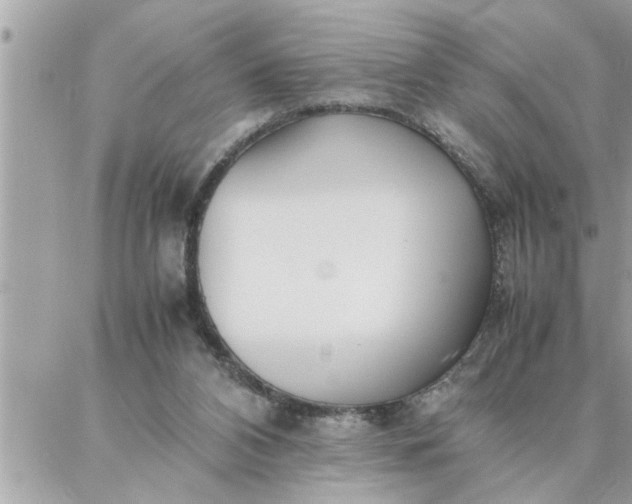 X0000087360112200705041905