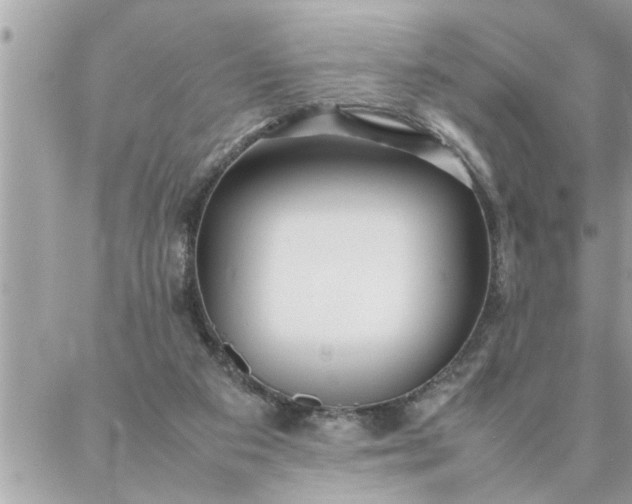 X0000087360113200705041905