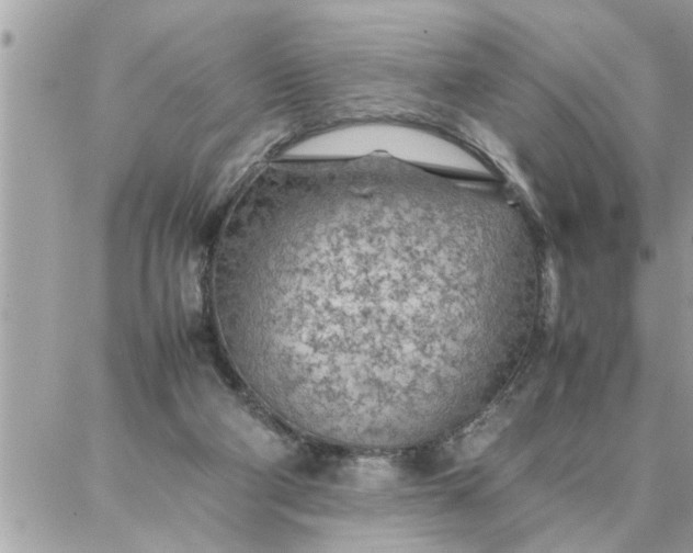 X0000087360114200705041905