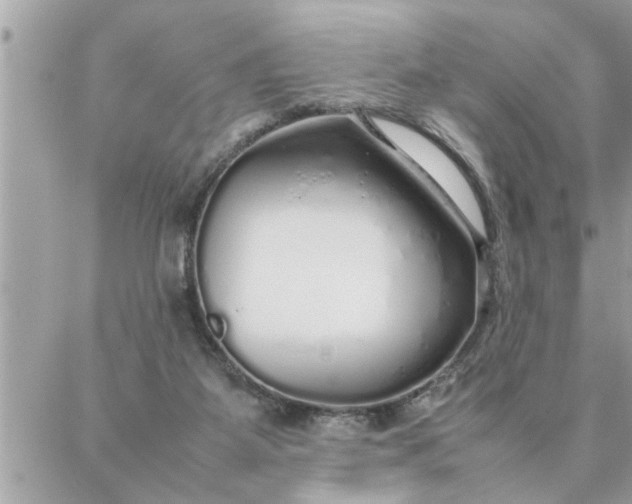 X0000087360115200705041905