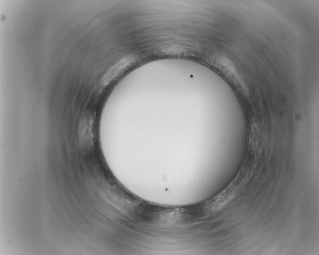 X0000087360116200705041905