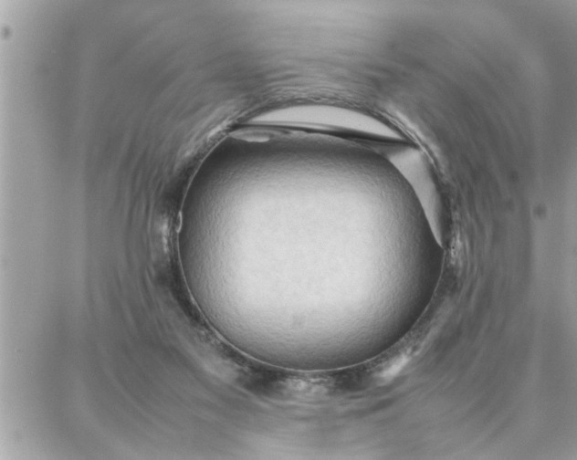 X0000087360117200705041905