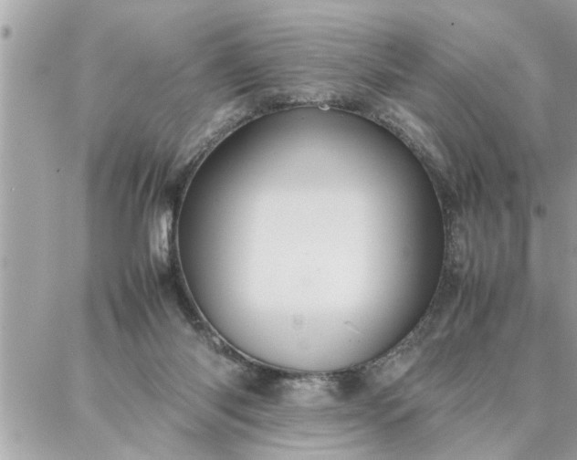 X0000087360118200705041905