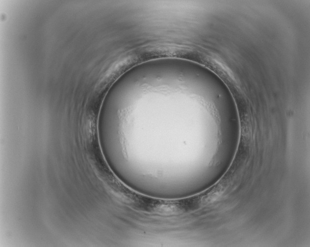 X0000087360119200705041905