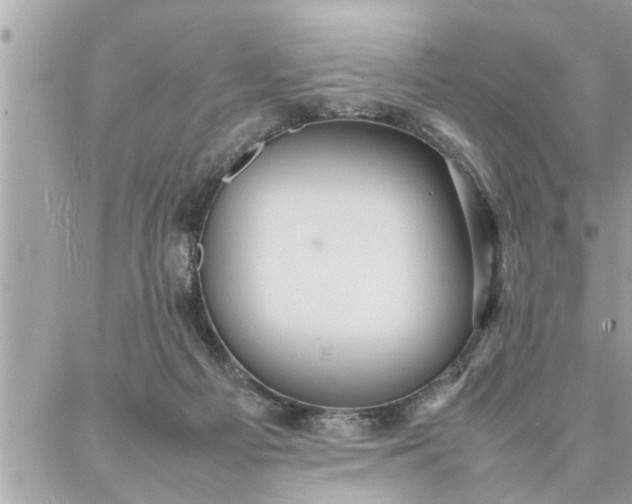 X0000087360121200705041905