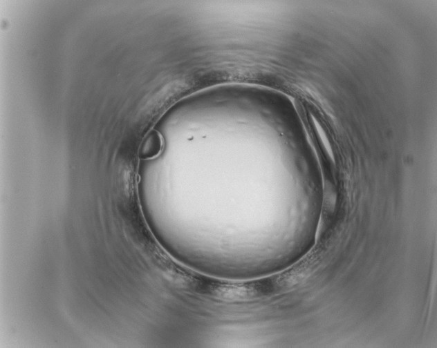 X0000087360123200705041905