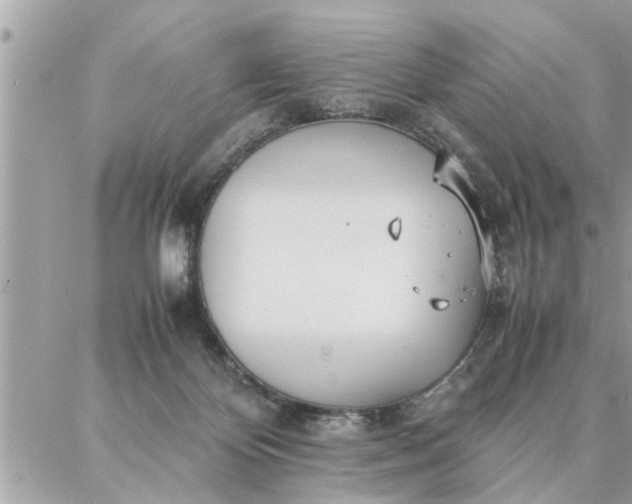 X0000087360124200705041905