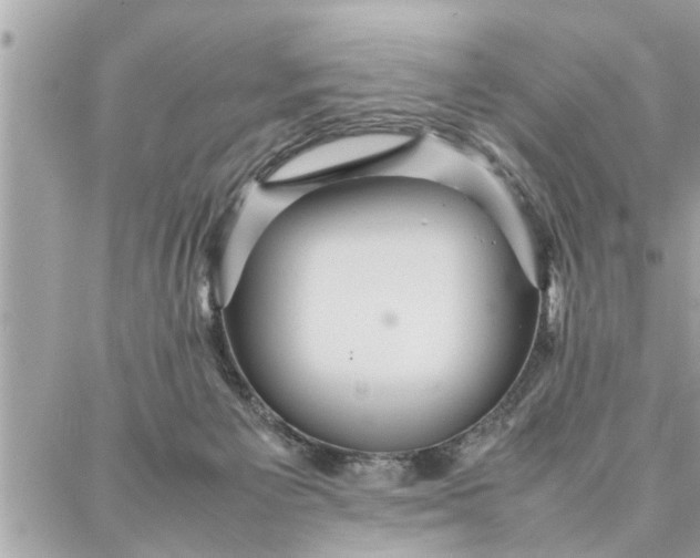 X0000087360125200705041905