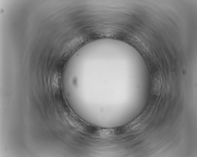 X0000087360126200705041905