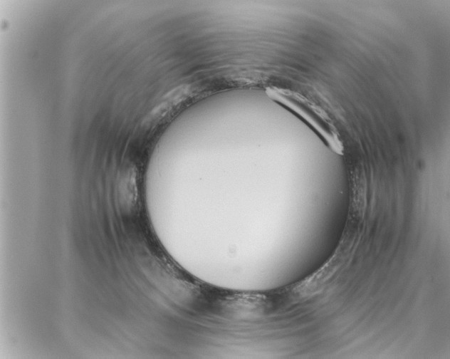 X0000087360128200705041905