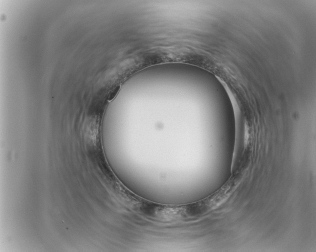 X0000087360129200705041905